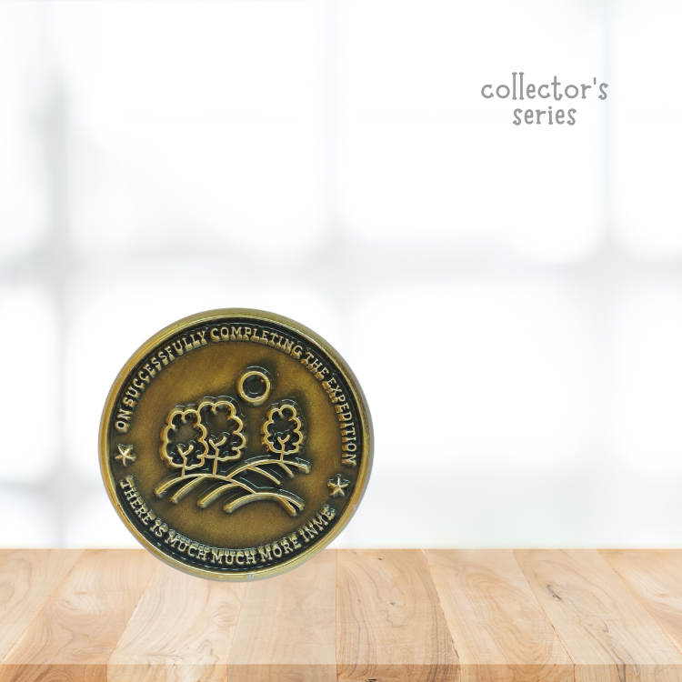 Camp Legacy Coins
